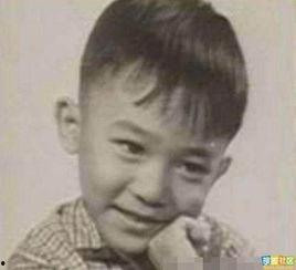 刘德华小时候照片,从青涩少年到巨星风采的蜕变