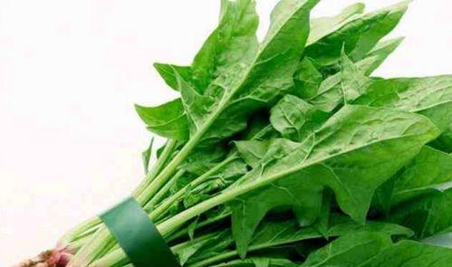 陈菠菜个人资料,从平凡走向卓越的励志人生