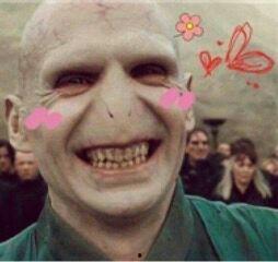 关于哈利波特的表情包,魔法世界的趣味瞬间